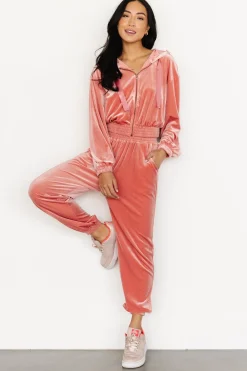 Flash Sale Bewitched Velvet Jogger Pants | pants